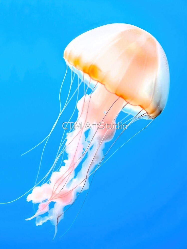 Jellyfish in Sunlit Ocean by CTM ArtStudio