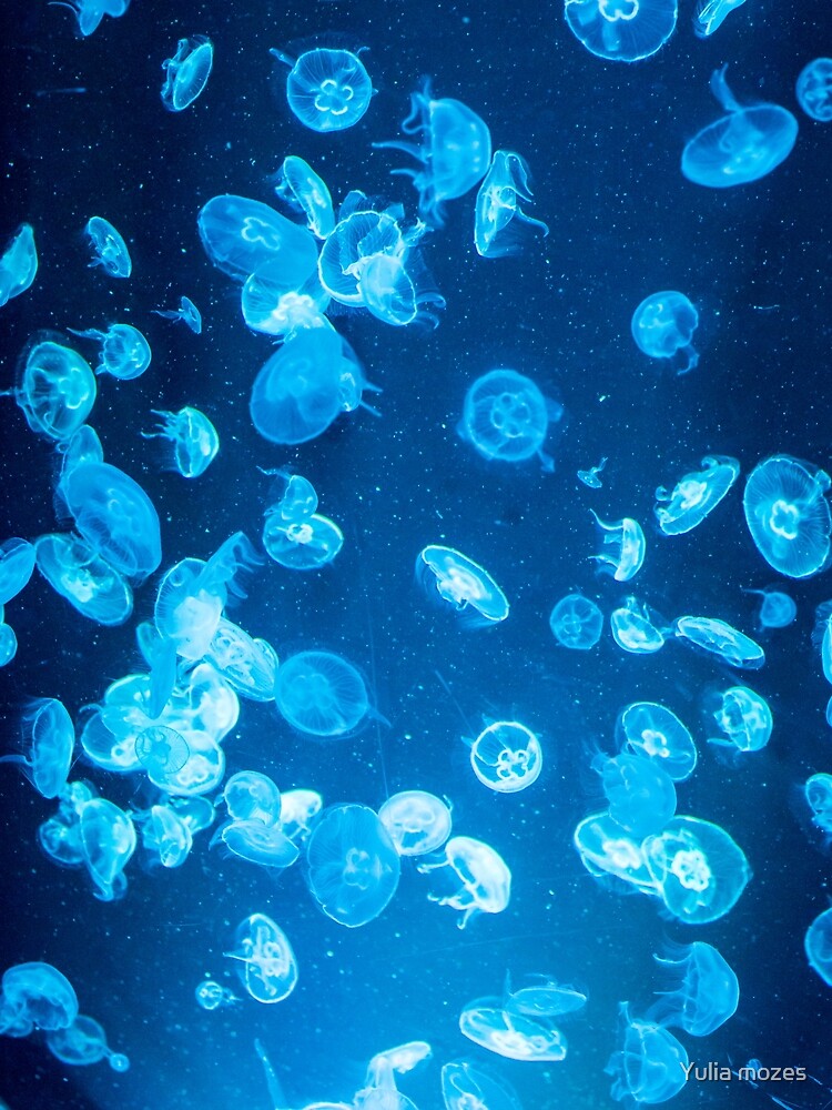 Jellyfish with blue neon glow light effect by Yulia mozes