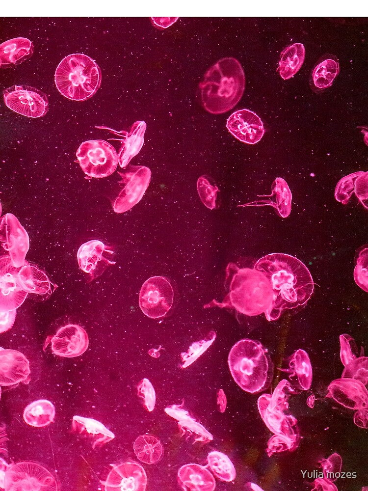 Jellyfish with pink neon glow light effect by Yulia mozes