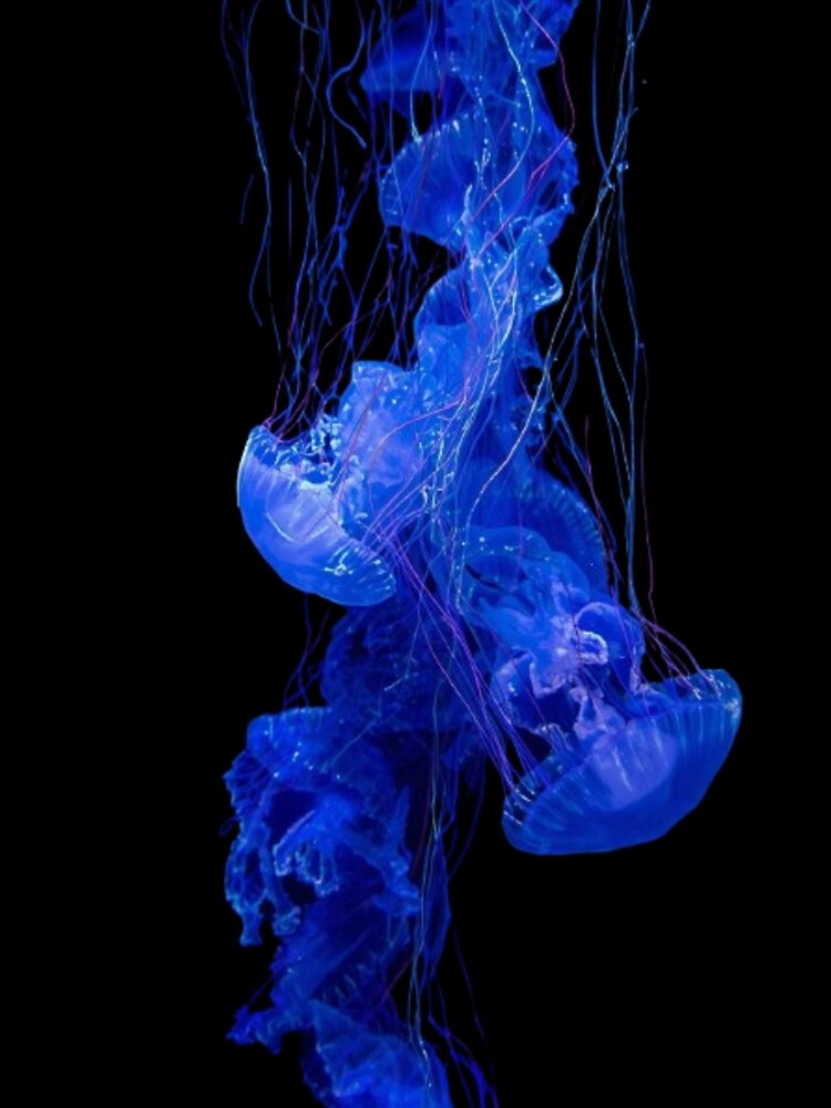 Electric Jellyfish Swarm – Glowing Ocean Energy by mari0n980