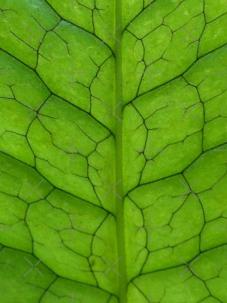 Crocodylus Fern Leaf Pattern by TropicalFronds