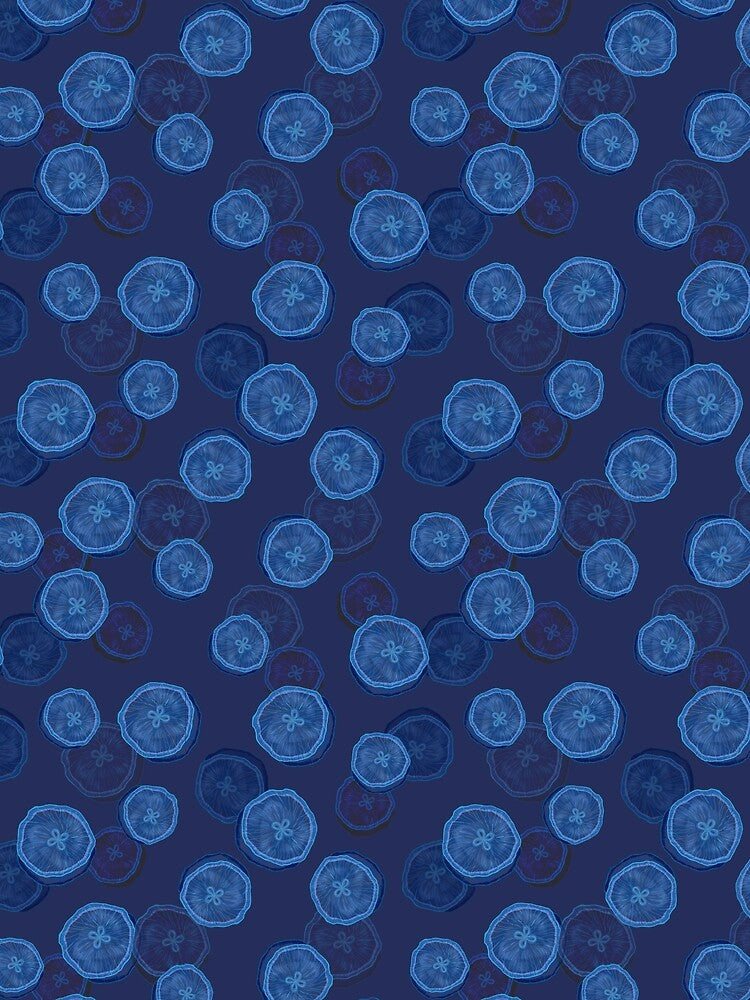 Jellyfish Bloom by kkati