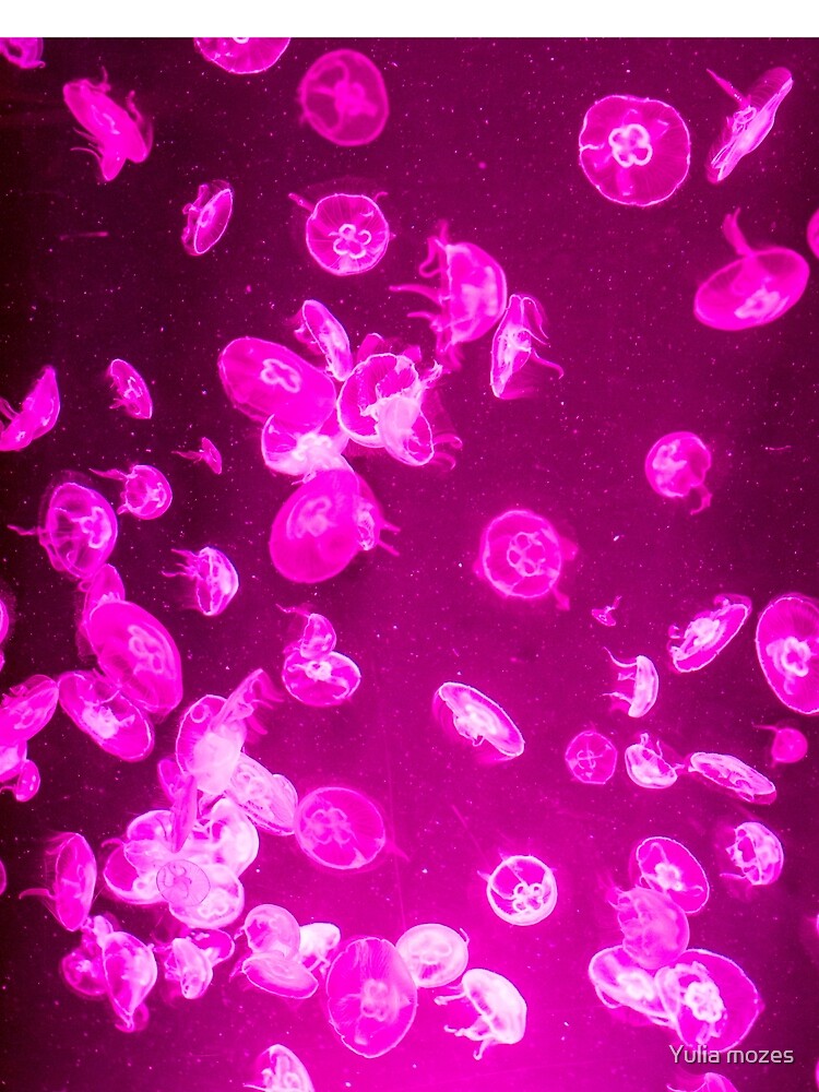 Bright pink Jellyfish with neon glow light effect by Yulia mozes