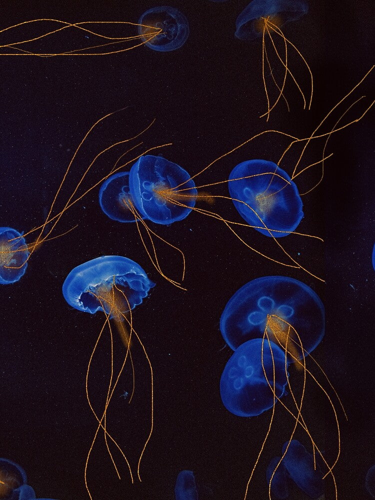 Golden jellyfish by AthenaPlays