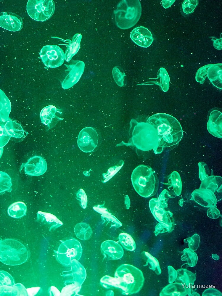Jellyfish with green neon glow light effect by Yulia mozes