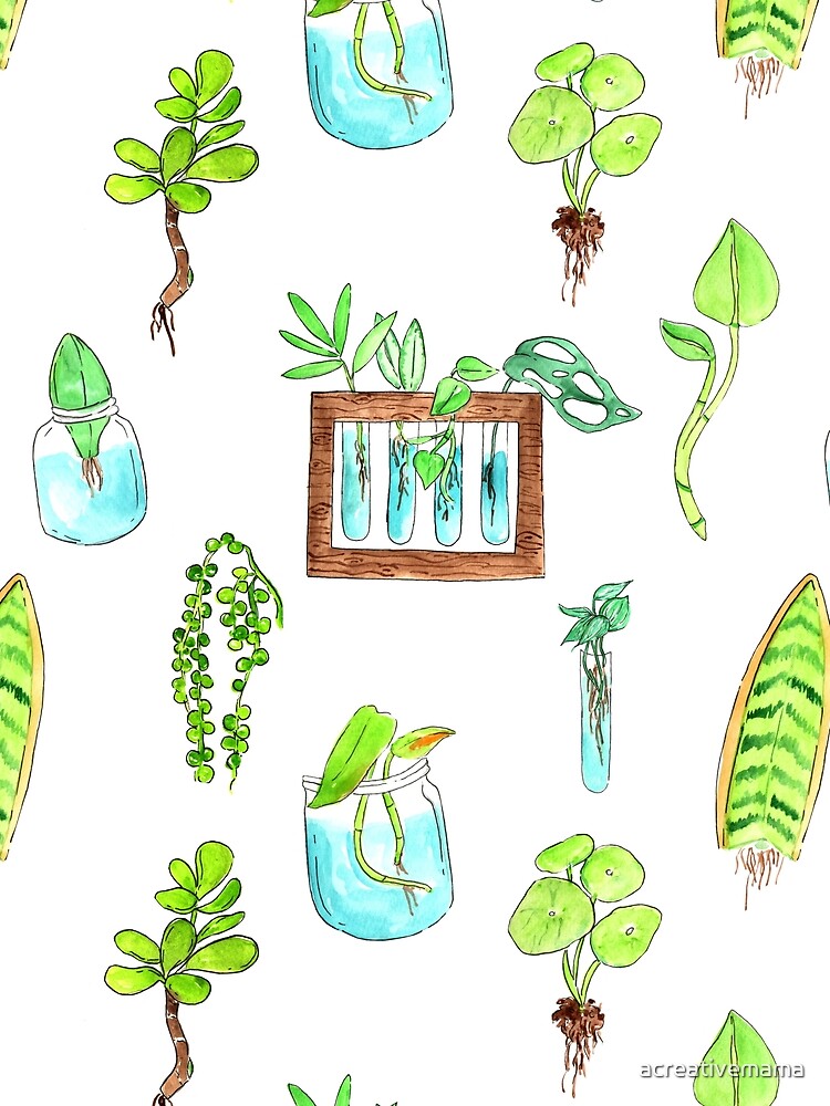 Propagating Plants by acreativemama