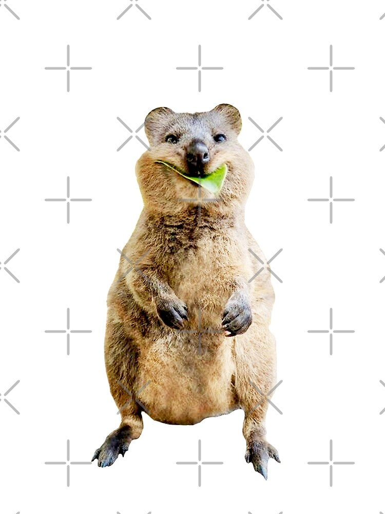 Quokka by MismatchMedley