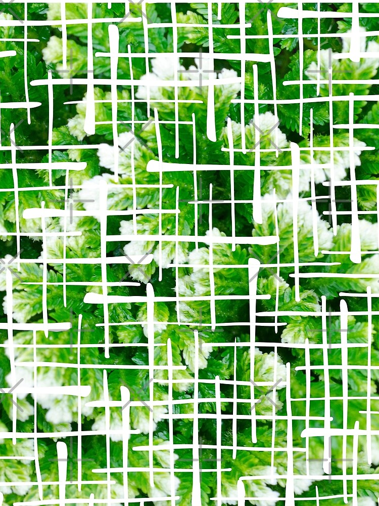 Plants lover gifts Selaginella Lycopodiopsida Background Texture Green White by AlinaOz