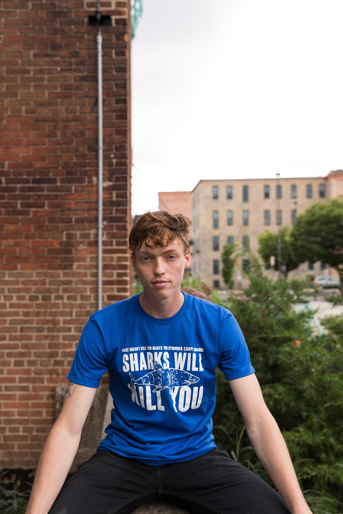 Sharks Will Kill You T-Shirts