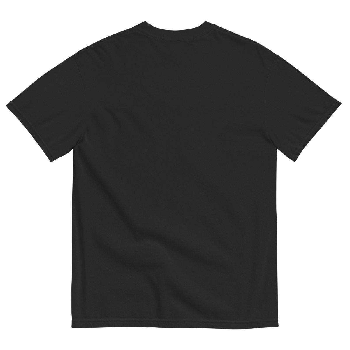 No Kings No Tyrants Black T-Shirts