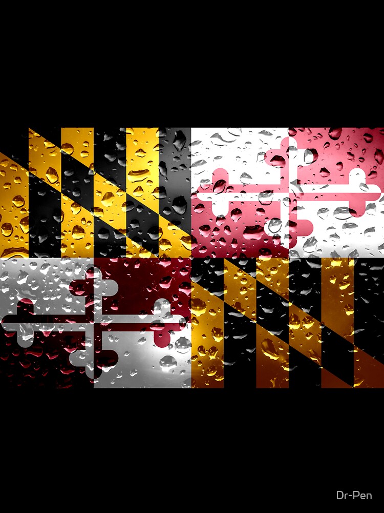 Rain Flag of Maryland by Dr-Pen