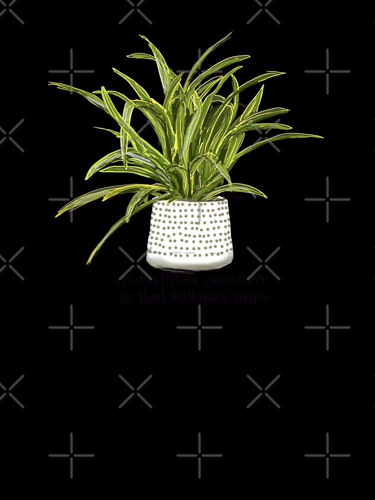 Spider Plant in Pot by SinceJanuary