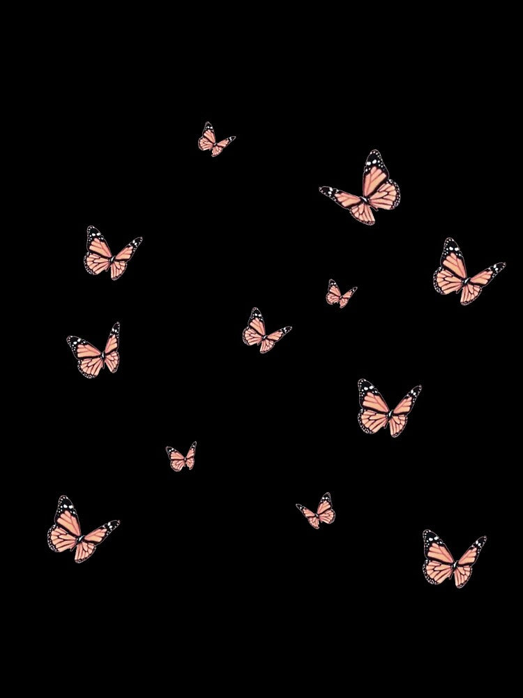 Butterfly Aesthetic Sticker Pack by Alyssa Mio