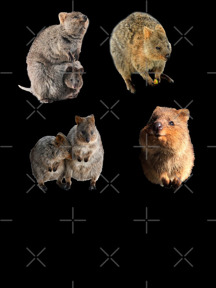Cute Quokka Sticker Pack by InvestingRoad