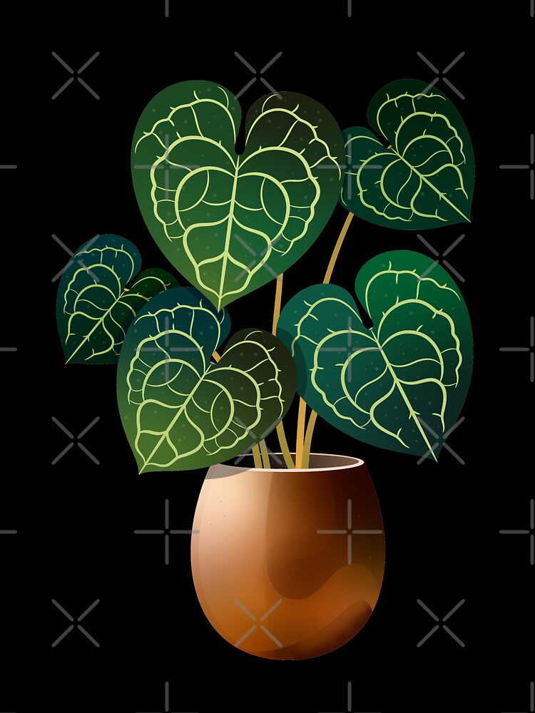 Anthurium Clarinervium House Plant Urban Jungle by HearMeRoarDesignsCo