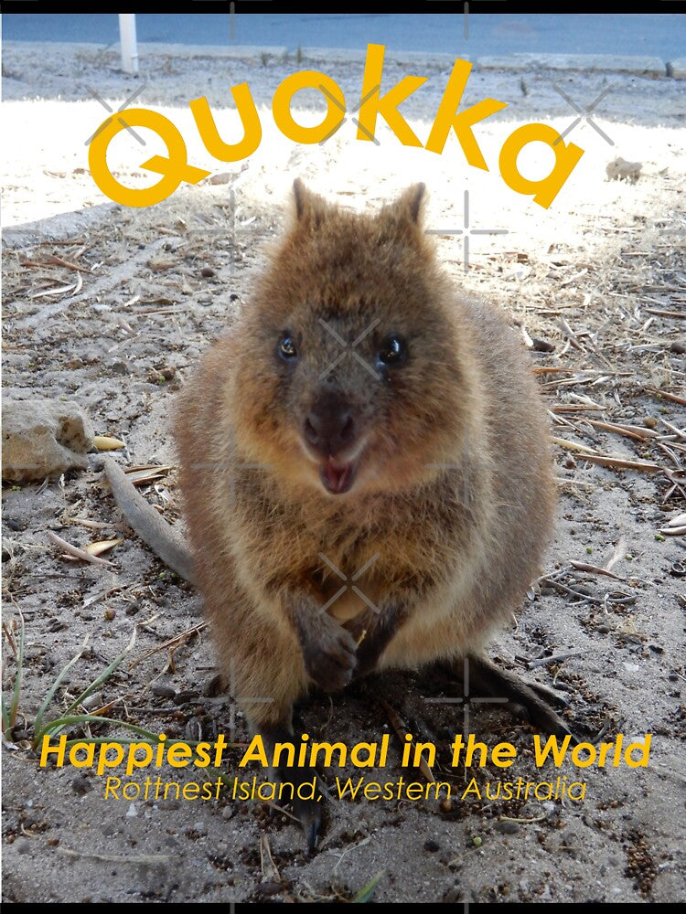 Quokka Happiest Animal in the World by Lunaqwa