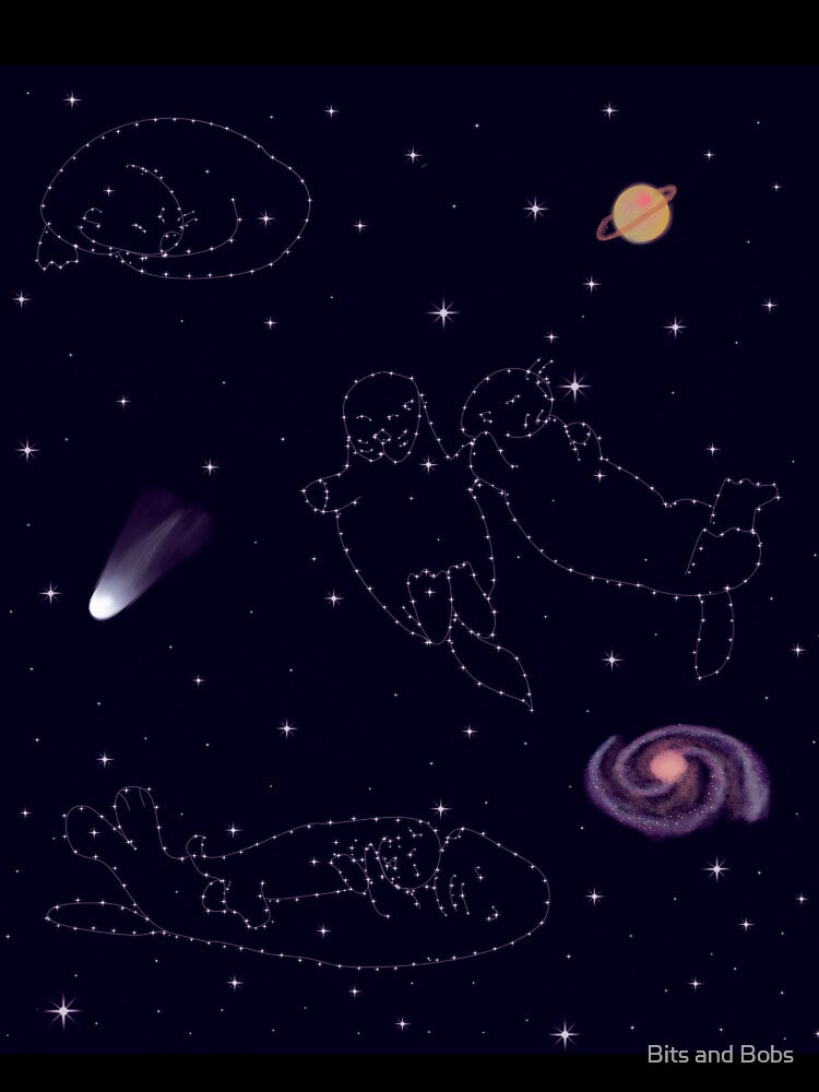 Otter Space by Bits and Bobs