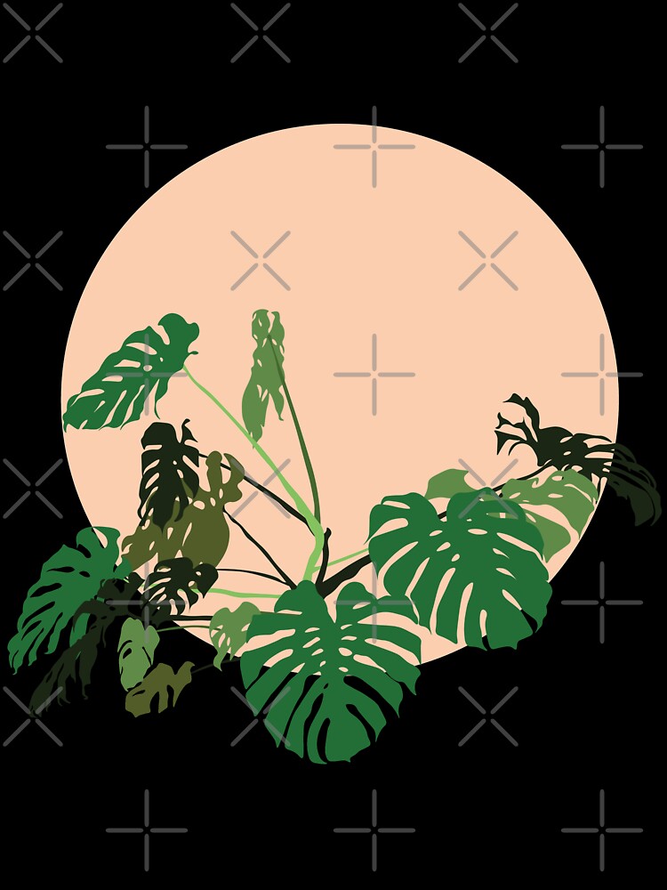 Monstera Deliciosa by Cabeza del Sol