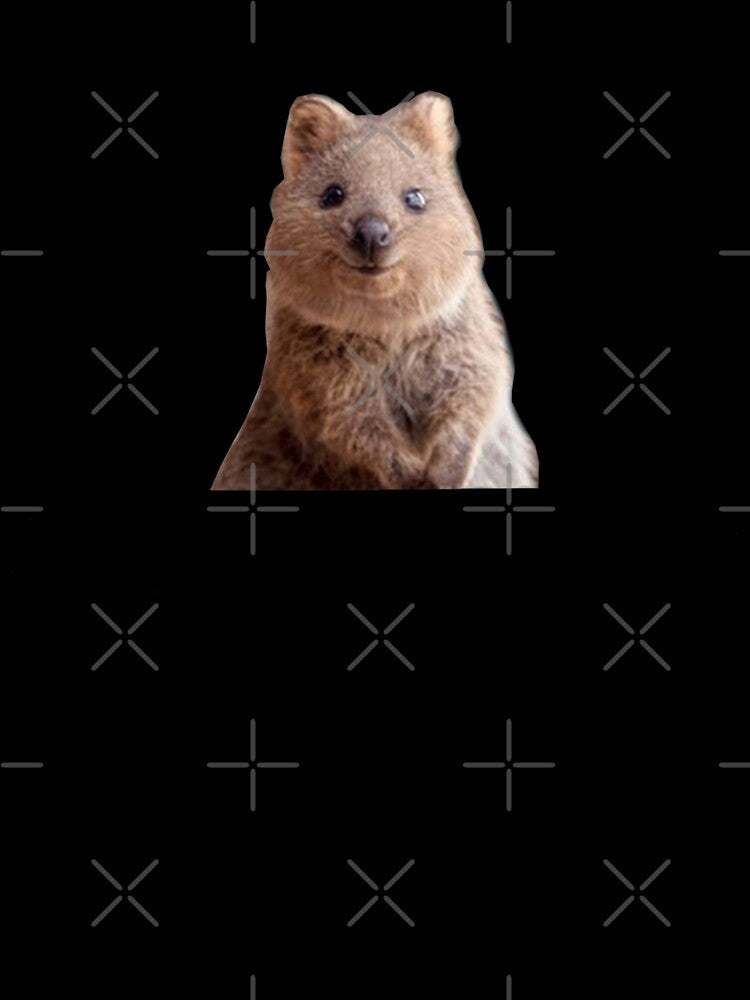 Quokka by dimitar-pnankov