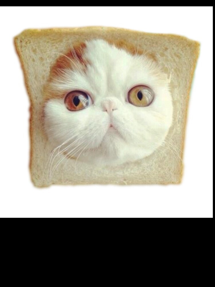 Bread Cat by Ravanna Lotus
