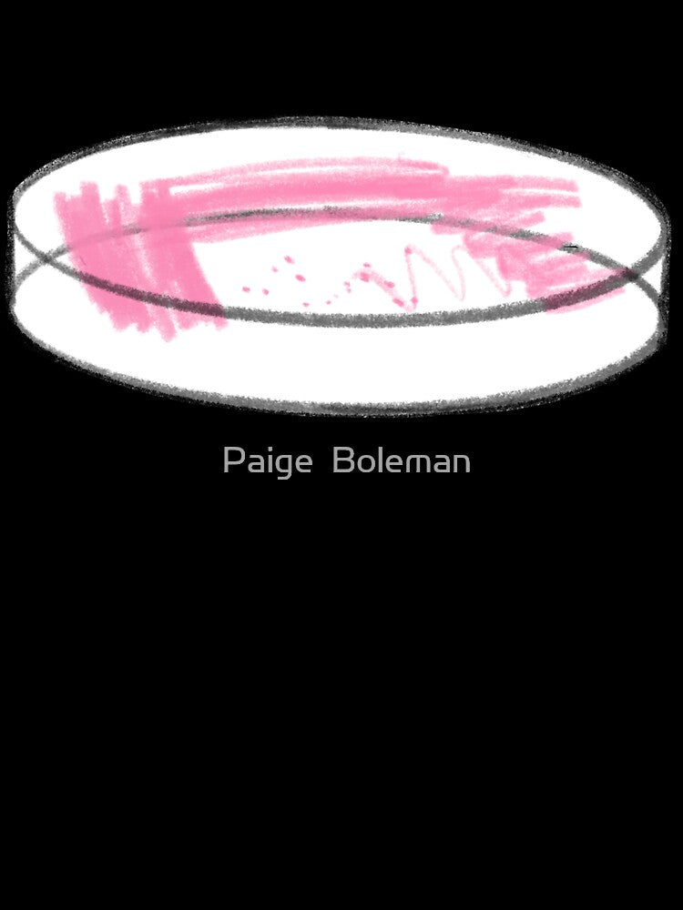 Streak Plate Sketch by Paige  Boleman