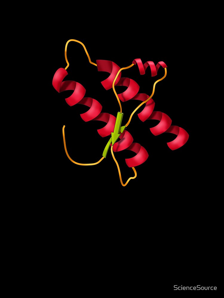 Prion Diagram, Protein Folding by ScienceSource