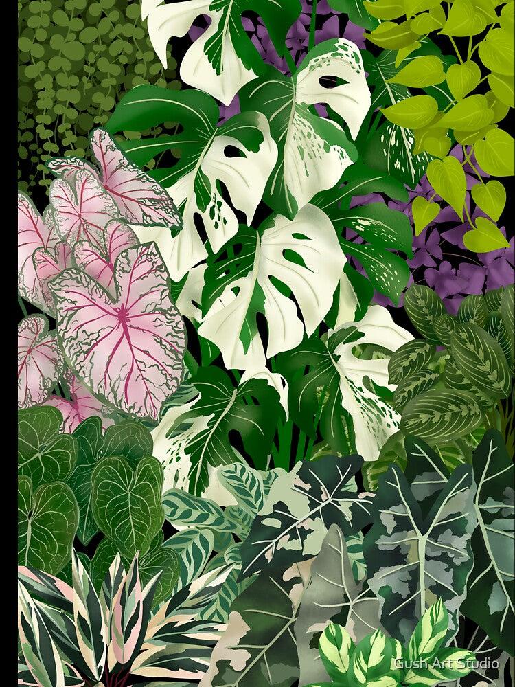 Urban Jungle House Plants Illustration by Ana Moguš