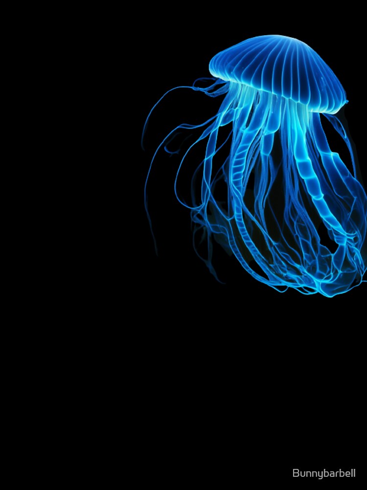 Glow in the dark jellyfish by Bunnybarbell