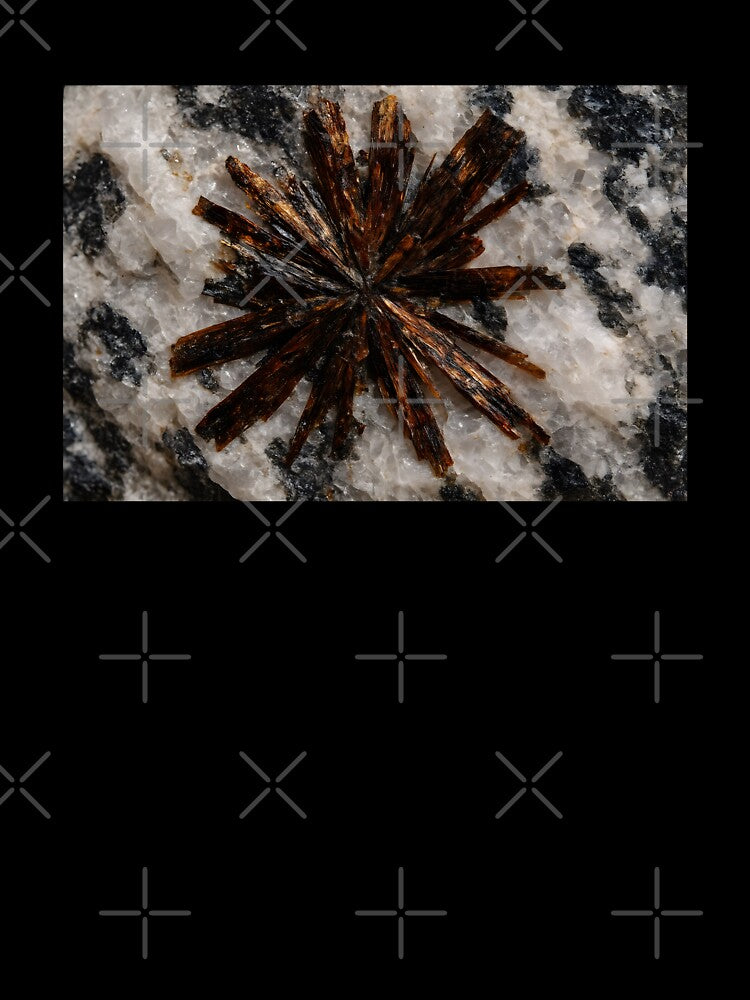 Astrophyllite Crystal Starburst in Granite Matrix by SassyArtistry