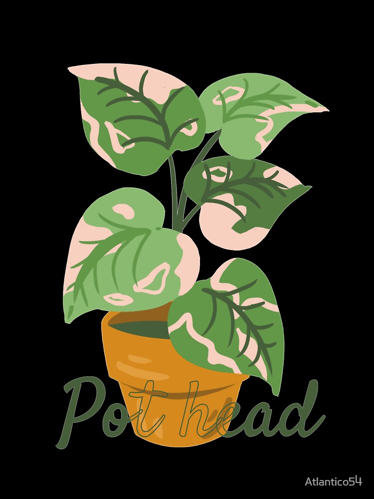 Pot head by Atlantico54