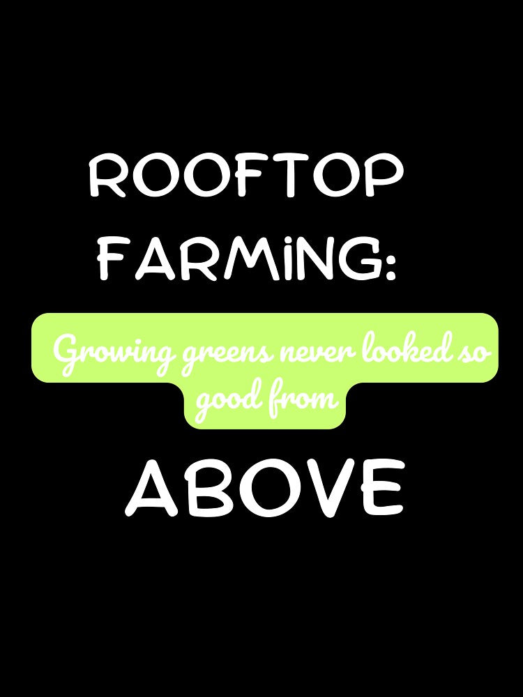 Rooftop farming: Growing greens never looked so good from above by saposzer
