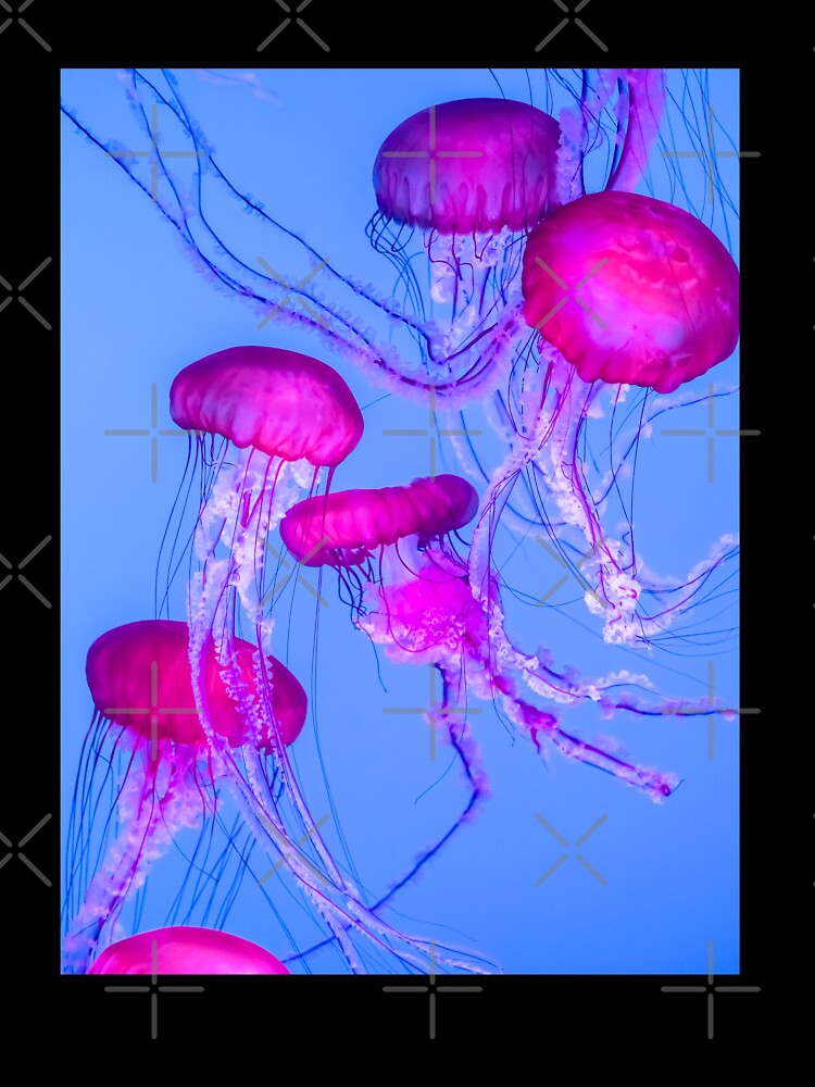 Mesmerizing Pink Jellyfish in Blue Glow by Bentenya
