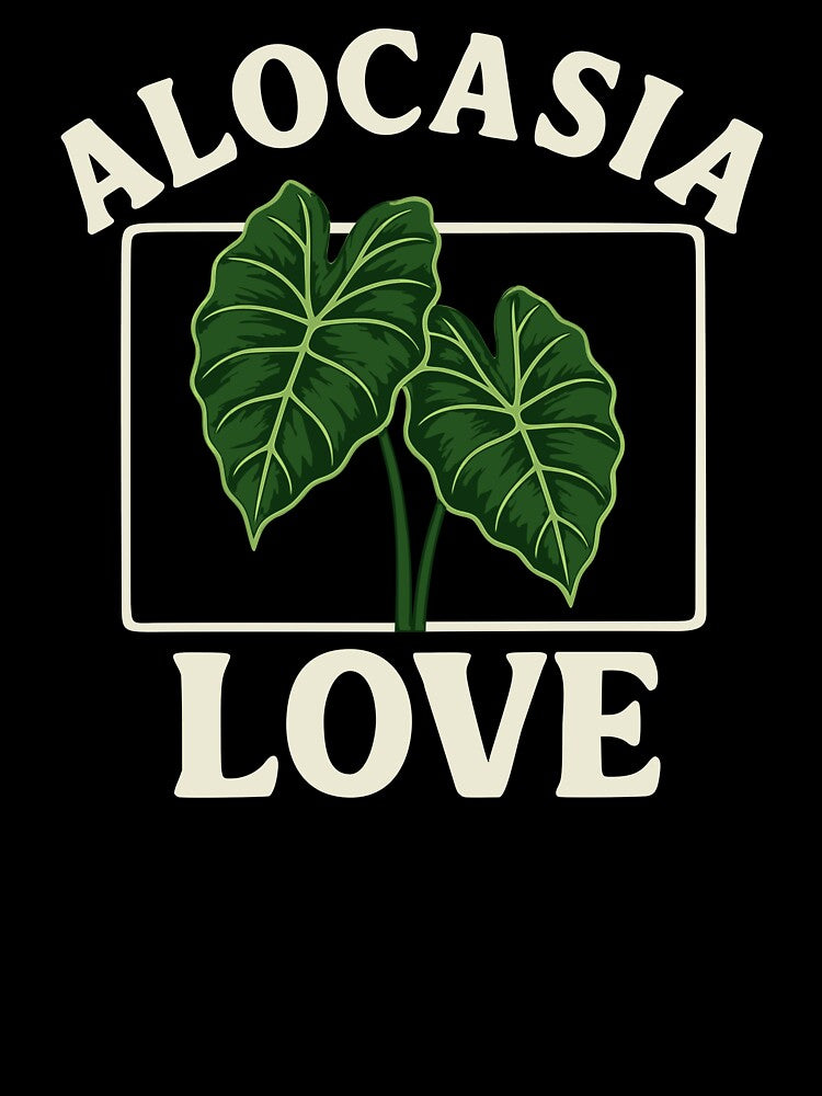 Alocasia Love by ZeitgeistSeason