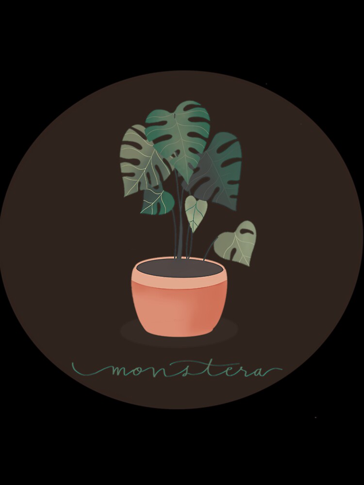 Monstera Plant Minimal Illustration by ciocdlmj81
