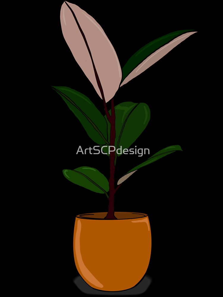 Rubber plant by ArtSCPdesign