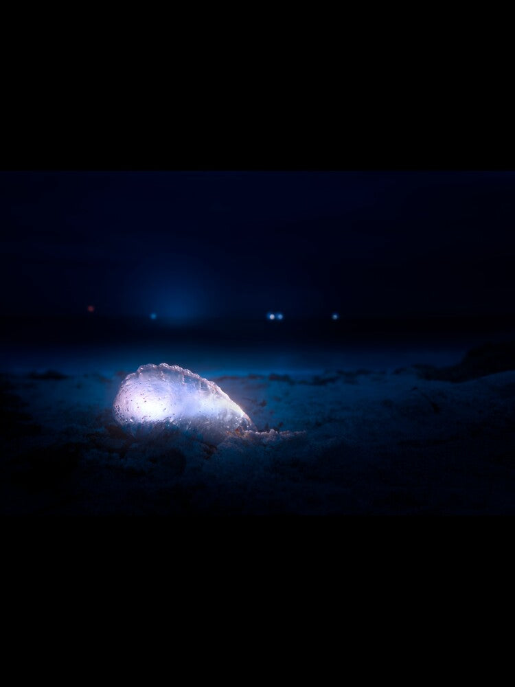 Man O' War On The Beach by VisualVoyages