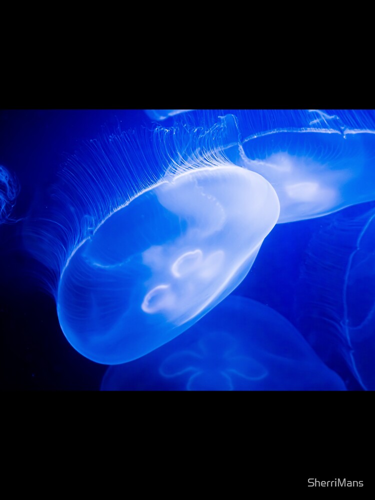 glowing jellyfish in the deep ocean by SherriMans