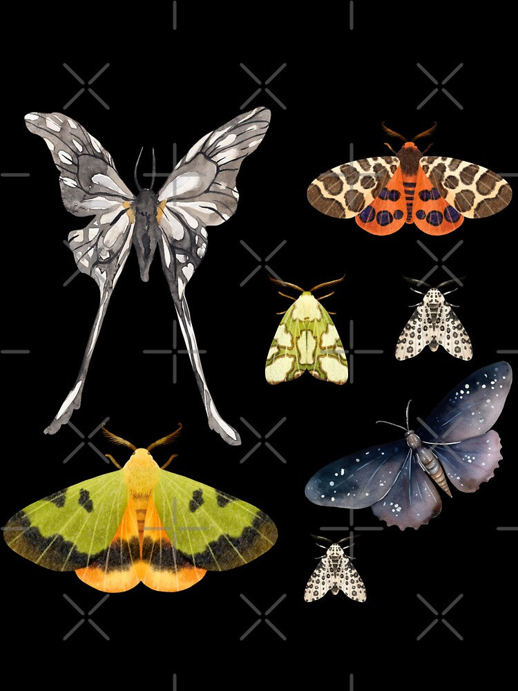 Moth _3 Sticker Pack by NexCreation