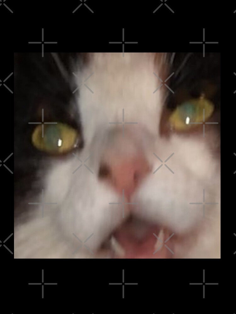 Screaming Cat - Photo by Mekredez