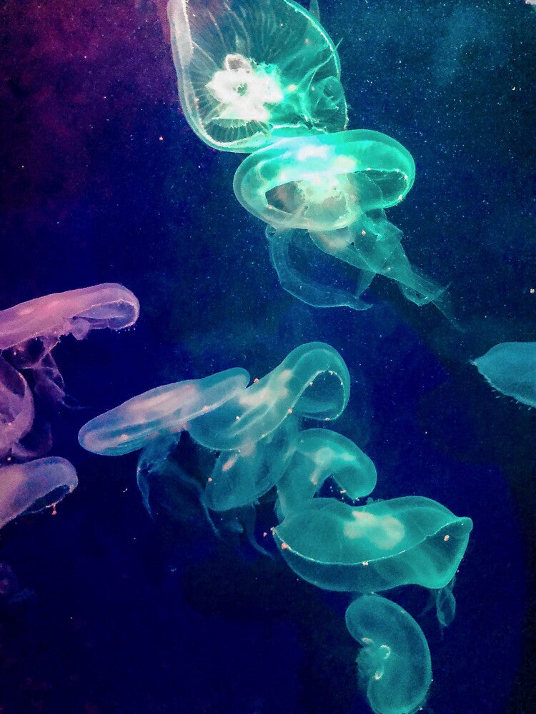 Luminous Jellyfish by M-Artie