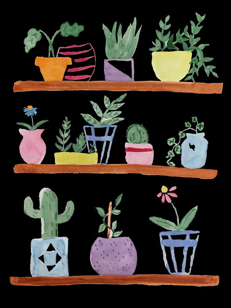 Watercolor House Plant Shelf Display by SavannahAddison