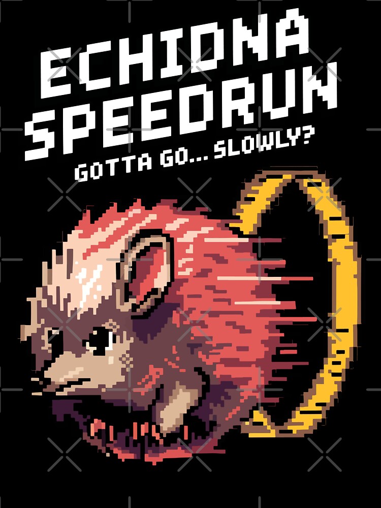 Echidna Speedrun – Gotta Go… Slowly? Funny Pixel Art by NaturePixel