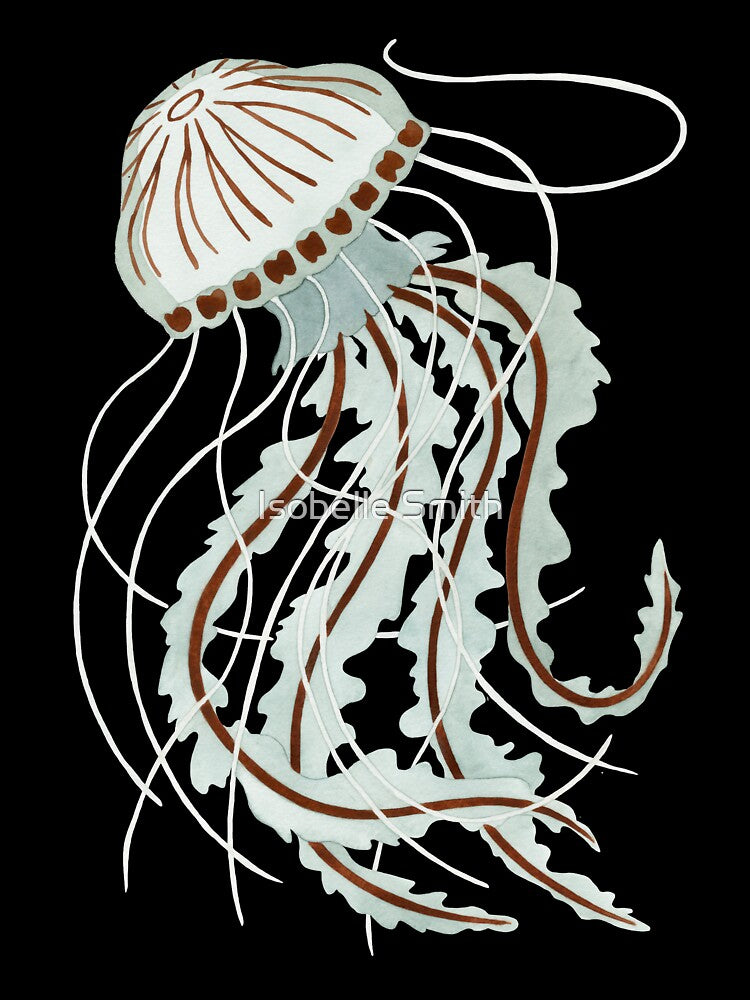 Translucent Jellyfish by Isobelle Smith
