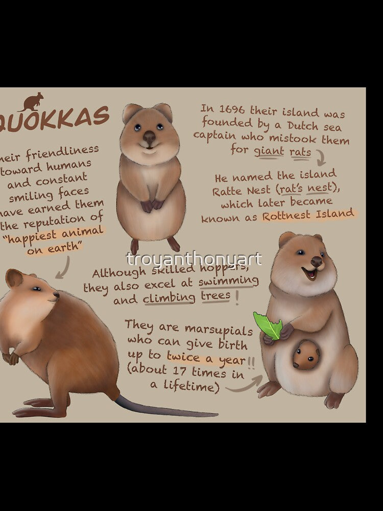Qoakkas Fun Facts by troyanthonyart