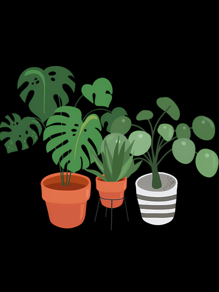 My Indoor Jungle Plants by thccelcdjhw5