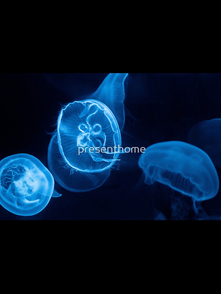 Glowing Blue Jellyfish by presenthome