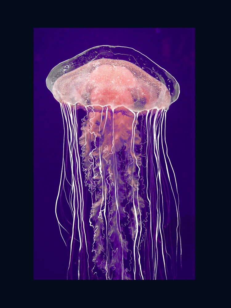 Ethereal jellyfish glow, neon jellyfish in the deep by PapiloArt