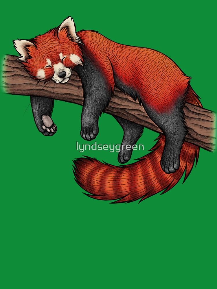 Red Panda by lyndseygreen