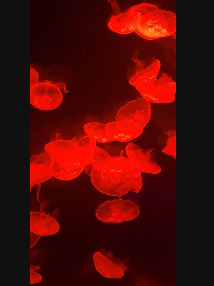 Red Jellies by CVAMarts