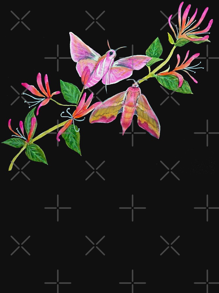 Elephant Hawk Moths and honeysuckle botanical art by MagentaRose